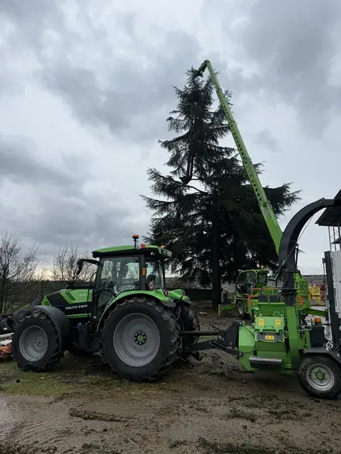 Un cantiere di Andrea Guida: potature, abbattimenti, indagini di stabilità