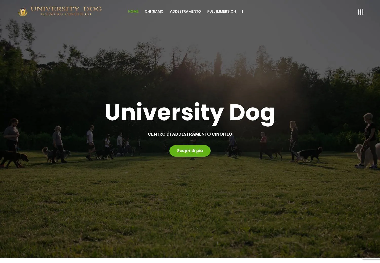 University Dog
